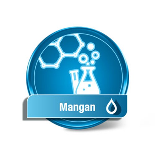 Mangan